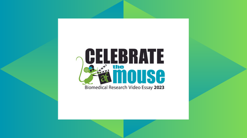 2023 Celebrate the Mouse Video Essay Contest