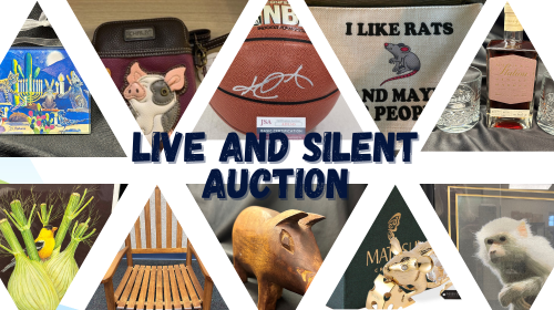 AALAS Foundation 2023 Live and Silent Auction