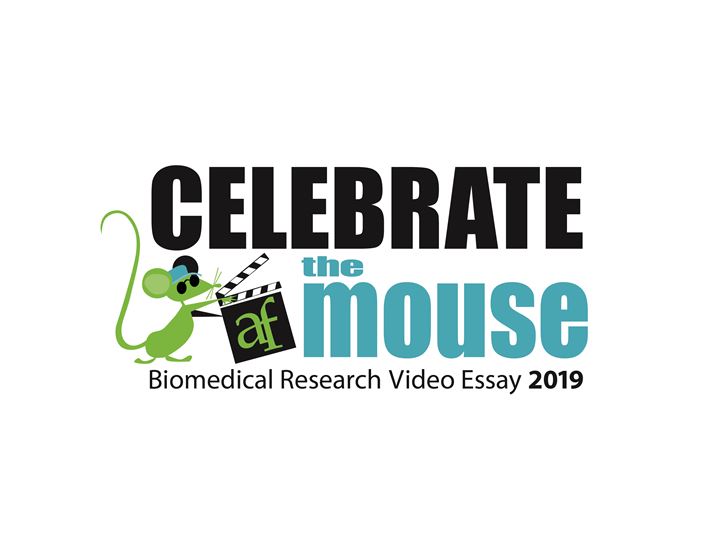 Celebrate the Mouse Video Essay Contest 2019