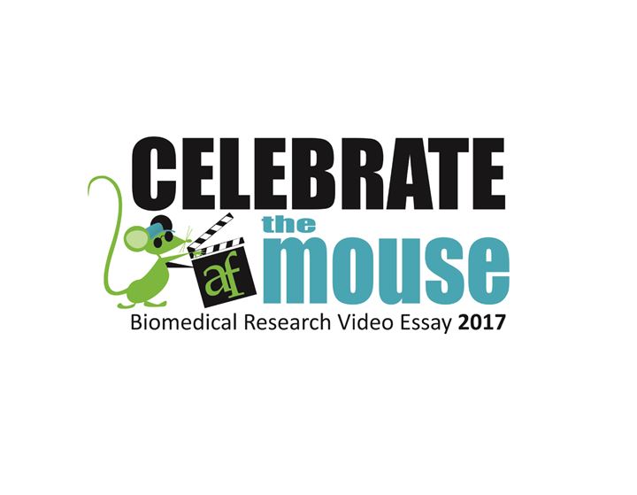 "Celebrate the Mouse" Video Essay Contest 2017